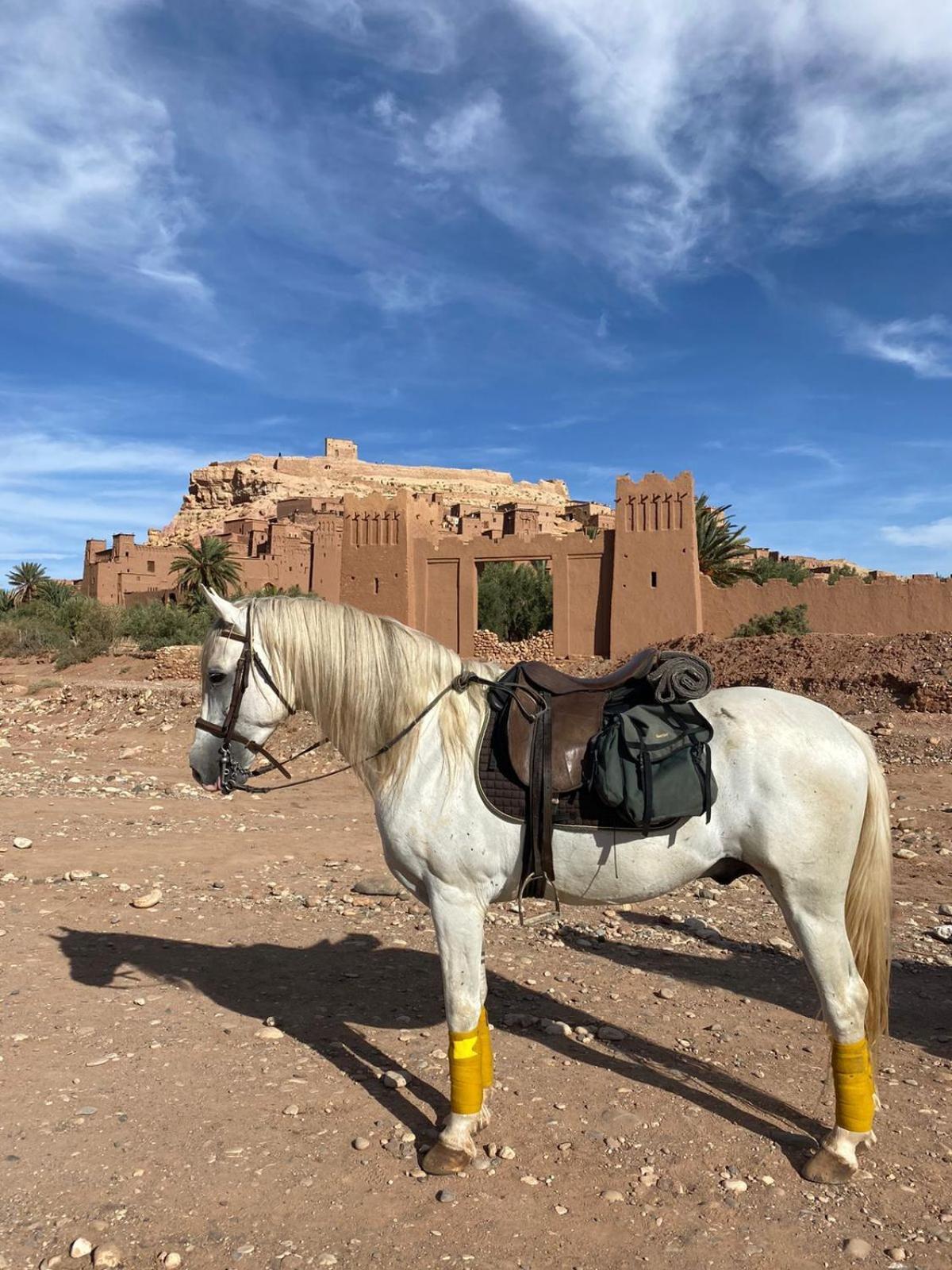 taman'art space Ait ben haddou Exteriör bild